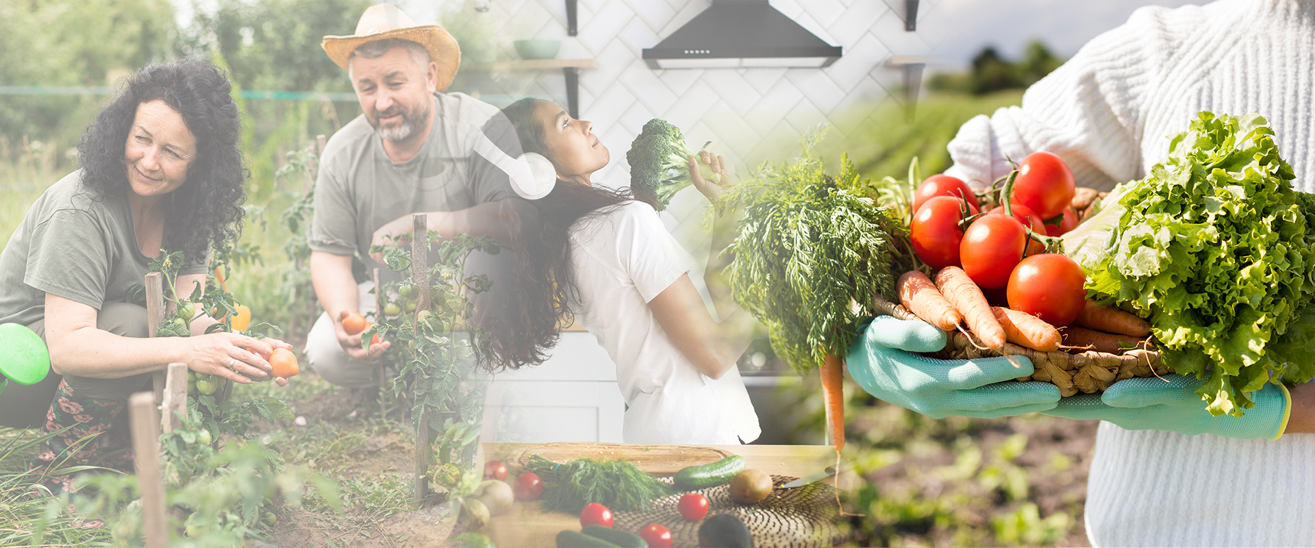 Sustainable Farming for a Better Tomorrow